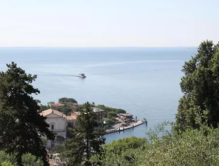 Degli Ulivi *