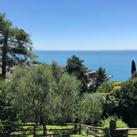 Degli Ulivi